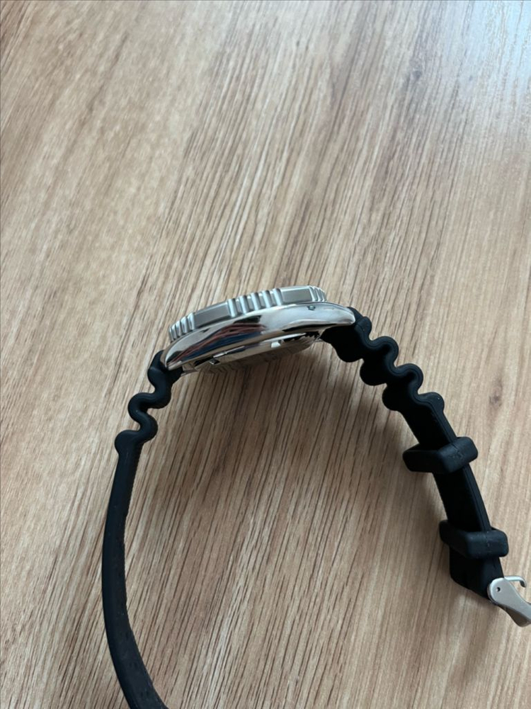 시티즌 복어 풀루메 NY0040 판매해요 이미지