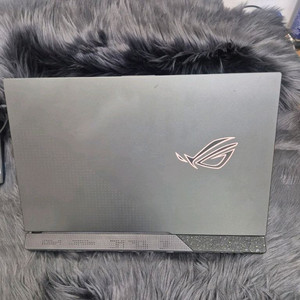 ASUS ROG Strix G17 RTX3060 게이밍 노트북 이미지