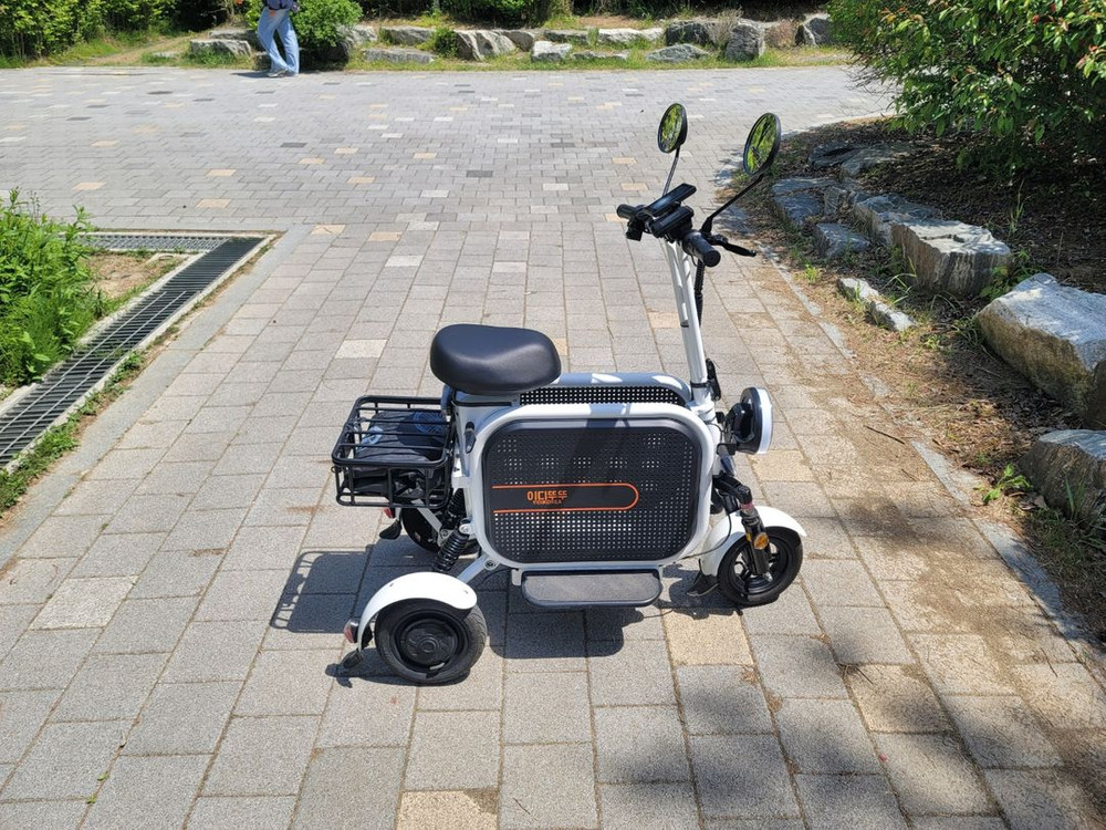 이디뚜뚜10 삼륜 반려견 전동스쿠터 48v 20a 배터리 3륜 삼발이 이미지