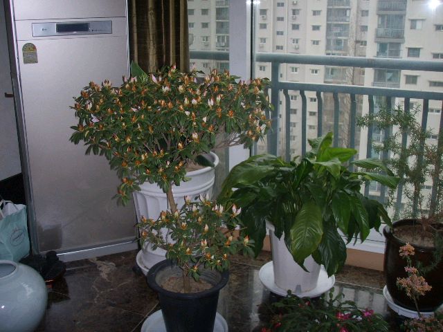 산요작티 vpc-hd700 레트로 캠코더 디지털카메라 이미지