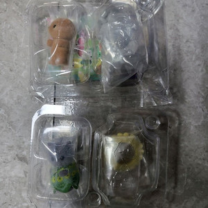 실바니안 숲의요정 돌바니안 수달, 시크릿 페르시안 고양이 아기 일괄 이미지