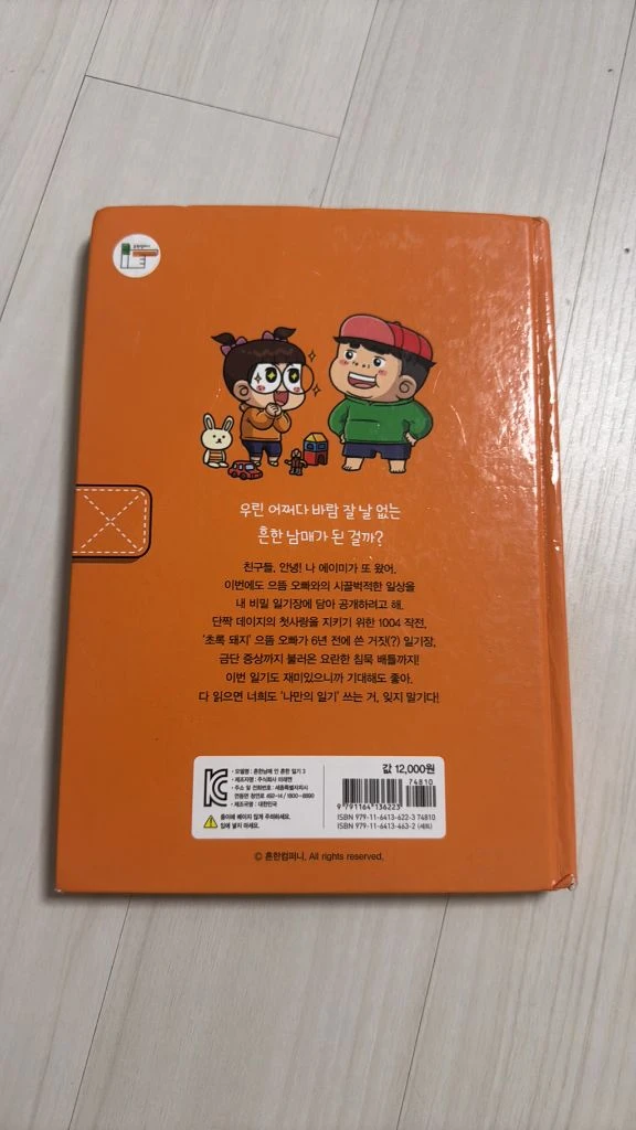 흔한남매 안흔한 일기3 이미지