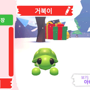 입양하세요 펫 거북이 판매합니다 이미지