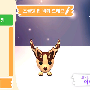 입양하세요 펫 초콜릿 칩 박쥐 드래곤(초박) 판매합니다 이미지