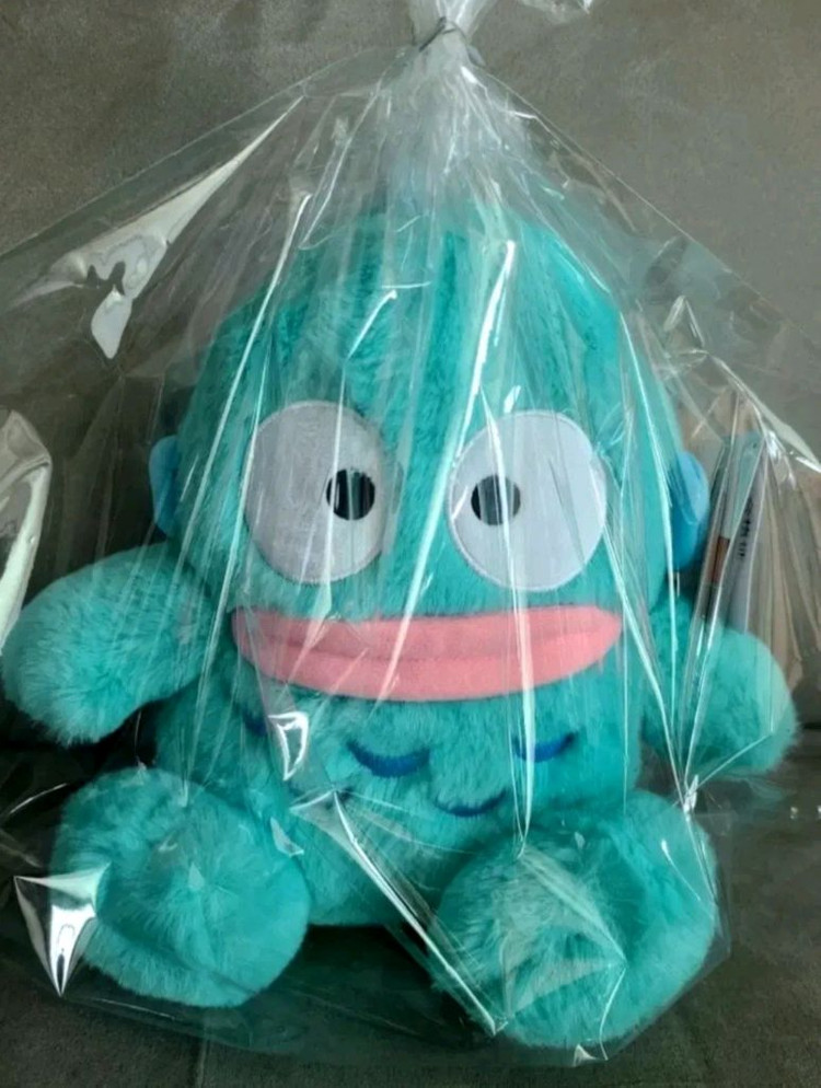 한교동 중형 뽀글이 (산리오 정품) 이미지