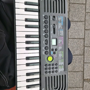 카시오 SA-47(전자 피아노) 이미지