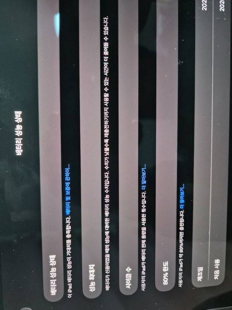 [S급] 아이패드 프로 M5 13인치 셀룰러 256GB (배터리 98%) 이미지