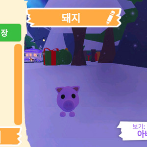 입양하세요 펫 돼지 판매합니다. 이미지