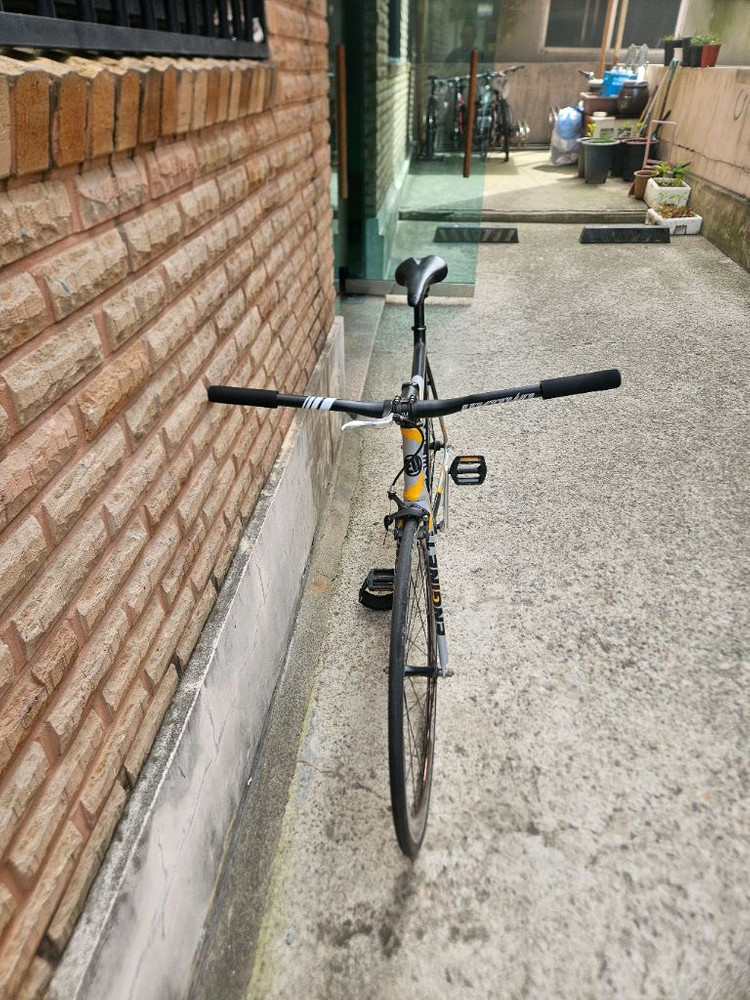 19년식 엔진11 볼텍스 깃털에디션 이미지