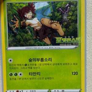 포켓몬카드 프로모 카드 이미지