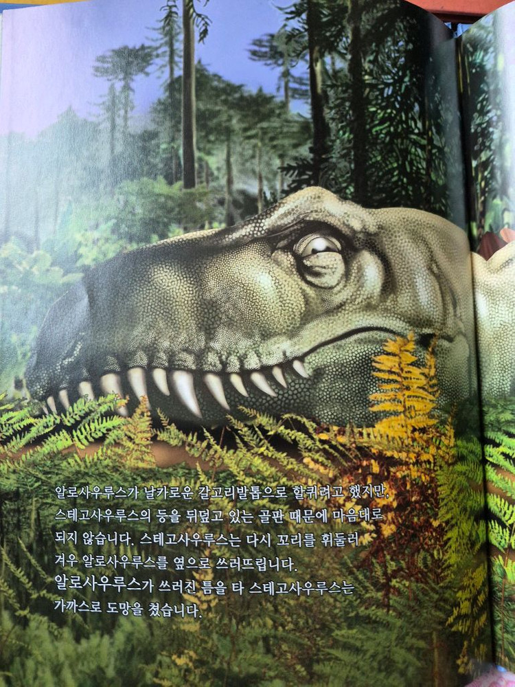 공룡 아카데미아 전집 10권 세트 이미지