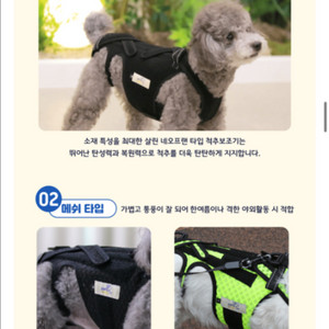 펫츠오앤피 강아지 디스크 허리보호대 xxl 대형견 이미지