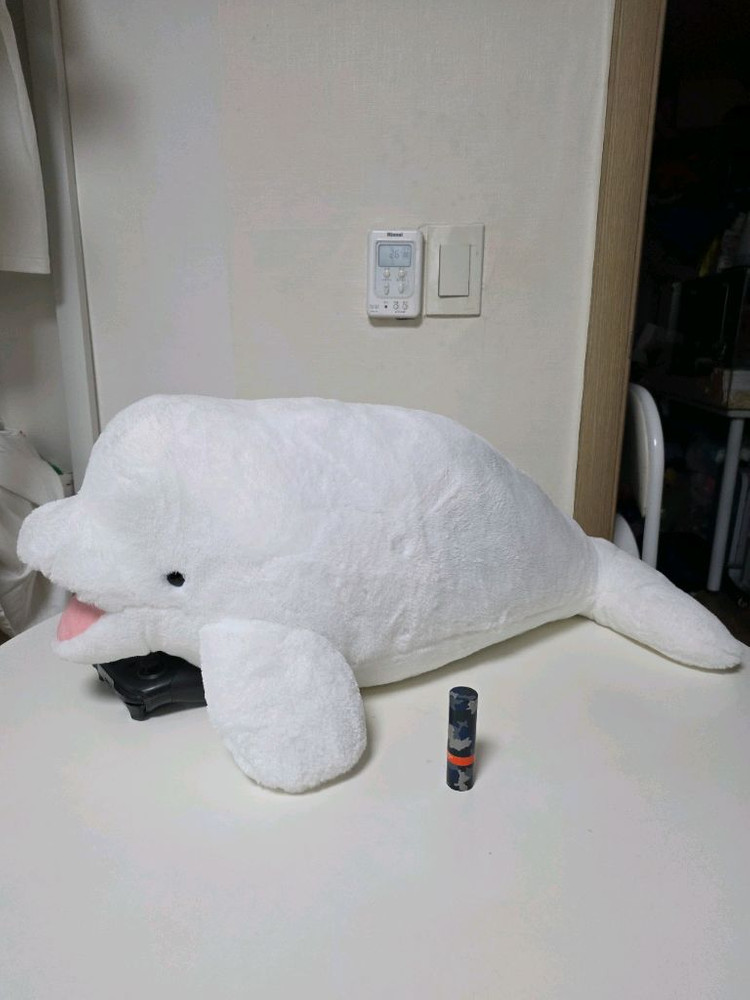 각종 오락실 벨루가 투슬리스 멧돼지 특대 인형 팝니다 이미지