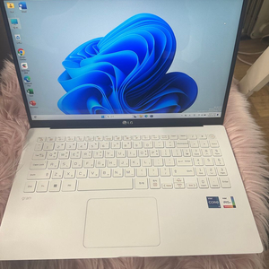 LG Gram 15Z95N-GP79ML / 15인치 이미지