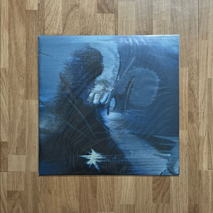 새눈바탕 (BirdsEyeBatang) - 손을 모아 Flood Format한정반 미개봉 LP 판매합니다 이미지