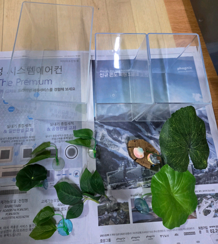 열대어 베타 룹통/베타침대/알몬드잎 일괄 이미지