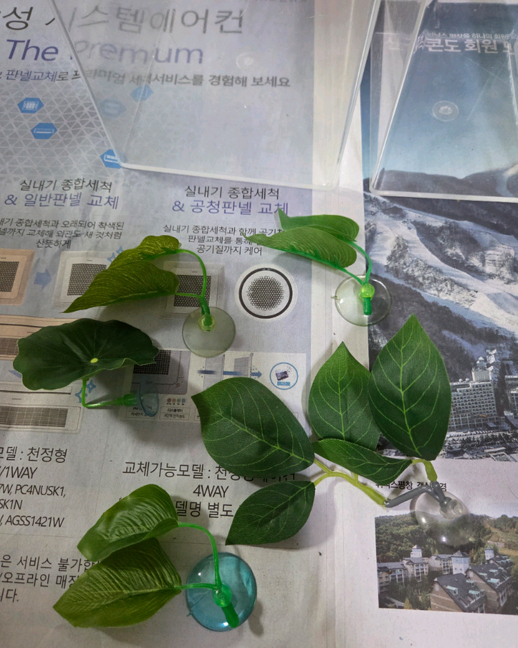 열대어 베타 룹통/베타침대/알몬드잎 일괄 이미지