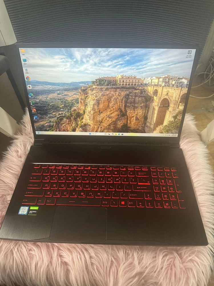 MSI GF75 Thin I7 게이밍노트북 / 17인치 / GTX1650 - 안심되는 중고거래