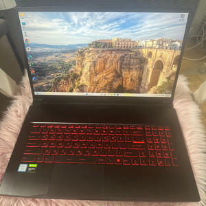 MSI GF75 Thin I7 게이밍노트북 / 17인치 / GTX1650 이미지