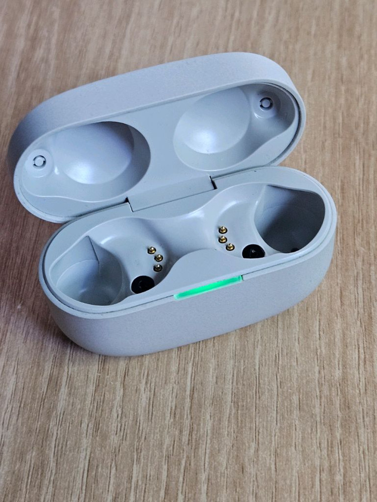 소니 WF-1000XM4 실버 충전본체 이미지