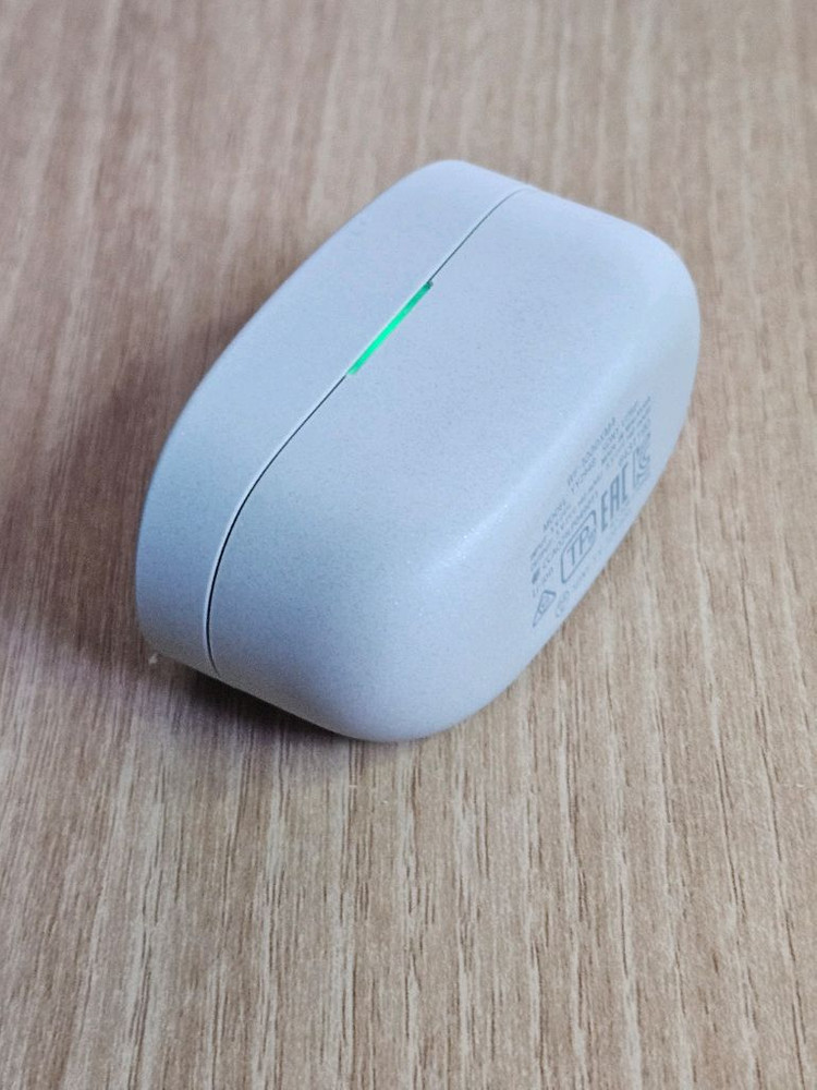 소니 WF-1000XM4 실버 충전본체 이미지