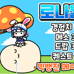 메이플스토리 로나월드 메소 억당 1.45에 30억 통판매 합니다 이미지
