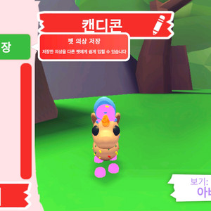 입양하세요 펫 네온 캔디콘 판매 합니다 이미지