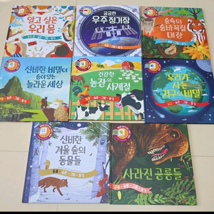 사파리 숨은그림찾기 8권 이미지