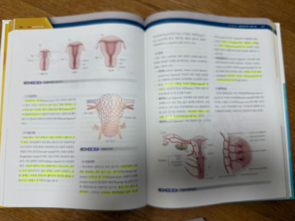 제 10판 여성건강간호학 1,2권 모성간호학 여성간호학 수문사 간호학과 책 이미지