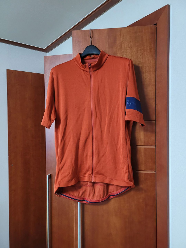 라파 클래식 져지 핑크, 브릭 이미지