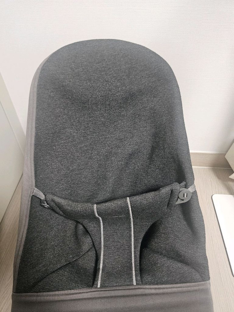 아기 베이비뵨 바운서 이미지