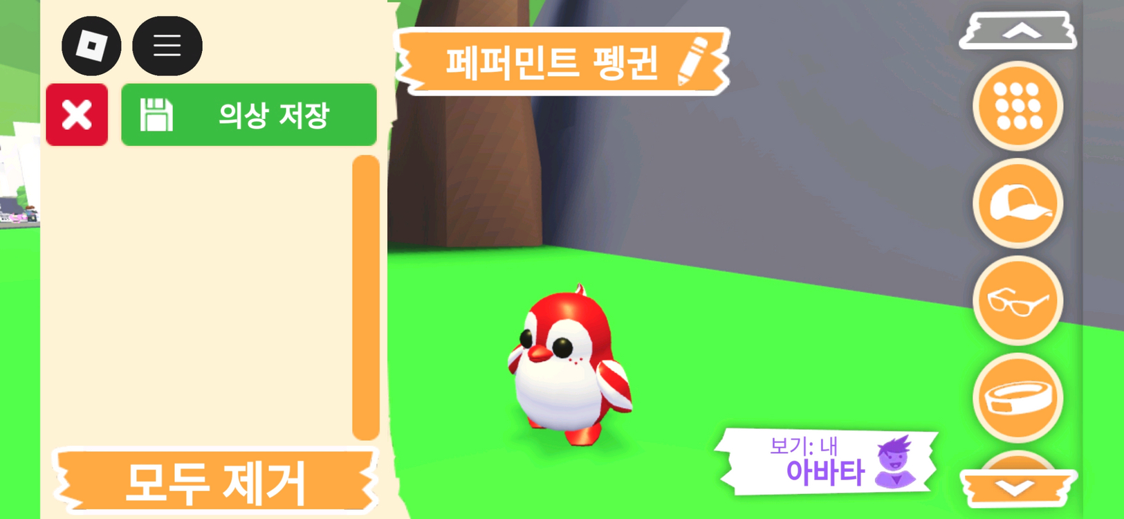 입양하세요 펫 페퍼민트 펭귄(페펭) 판매합니다 이미지
