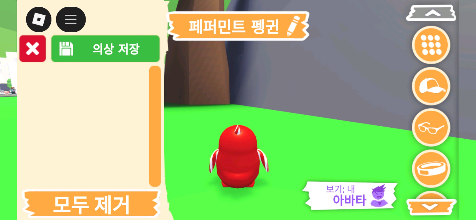입양하세요 펫 페퍼민트 펭귄(페펭) 판매합니다 이미지