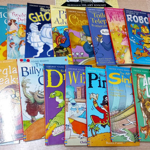 usborne young reading 20권 어스본 영리딩 영어책 이미지