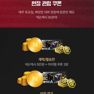 서든어택 챔스직관쿠폰 삽니다 이미지