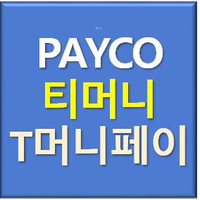 티머니페이머니 페이코포인트 정직하게 삽니다. 1분 입금 이미지