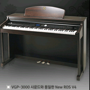 다이나톤 플래그십 디지털피아노 DPR-2200H 이미지