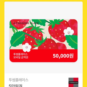 투썸플레이스 5만원권 이미지