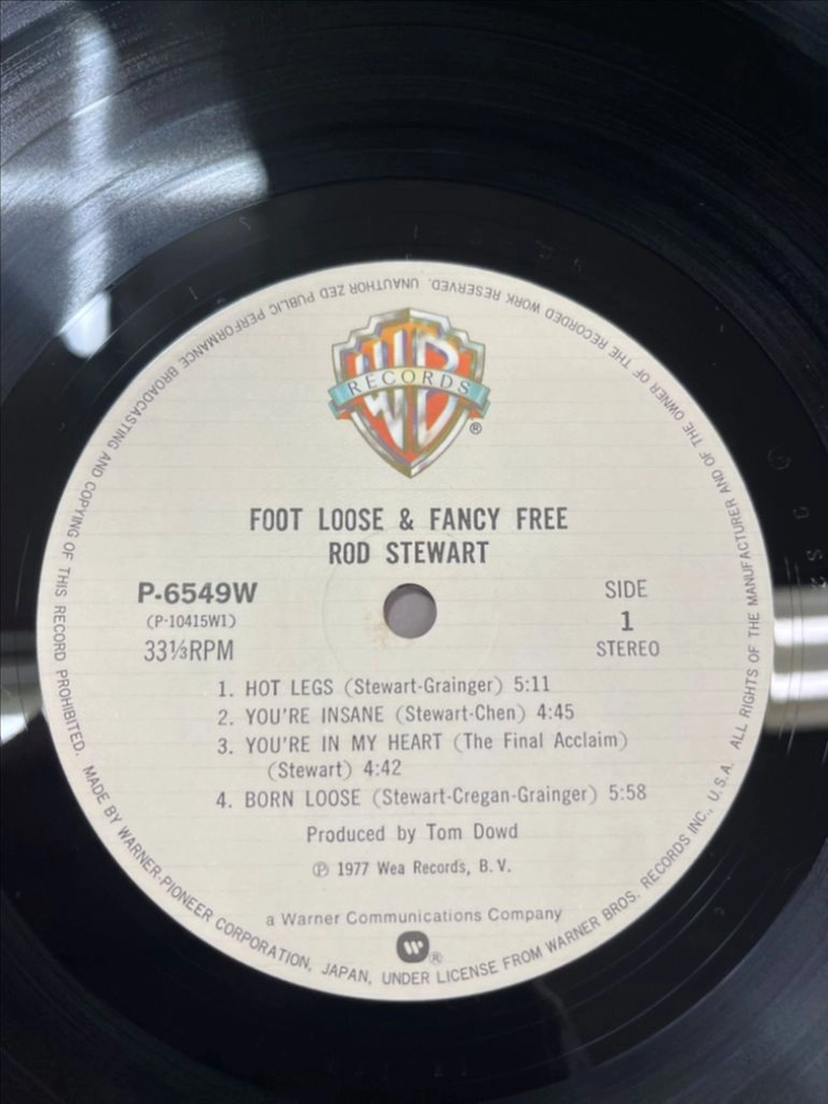 로드스튜어트 Foot Loose & Fancy Free 이미지