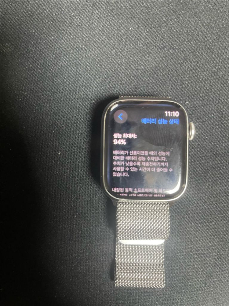 애플워치9 45mm 스테인리스 실버 밀레니즈루프모델 이미지