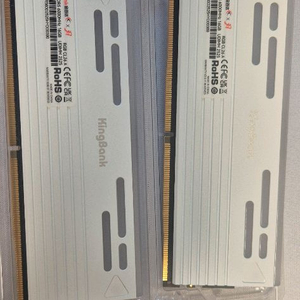 kingbank ddr5 6000cl26 화이트 고수율 메모리 이미지