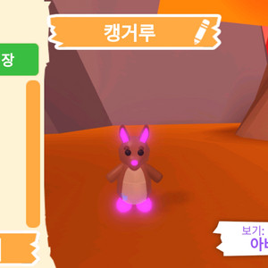 입양하세요 펫 메가네온 캥거루 (메캥) 판매합니다. 이미지