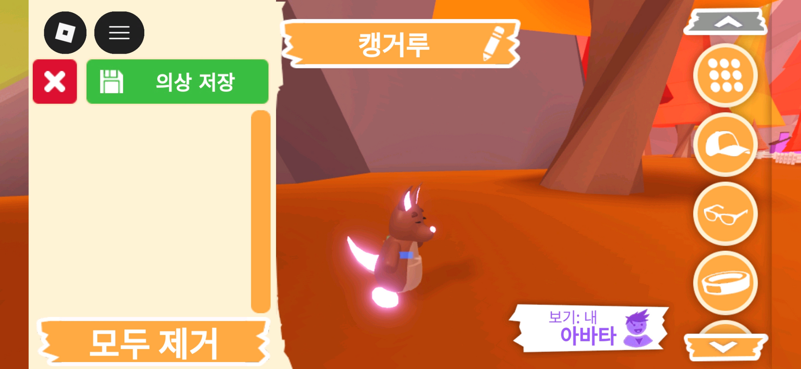 입양하세요 펫 메가네온 캥거루 (메캥) 판매합니다. 이미지