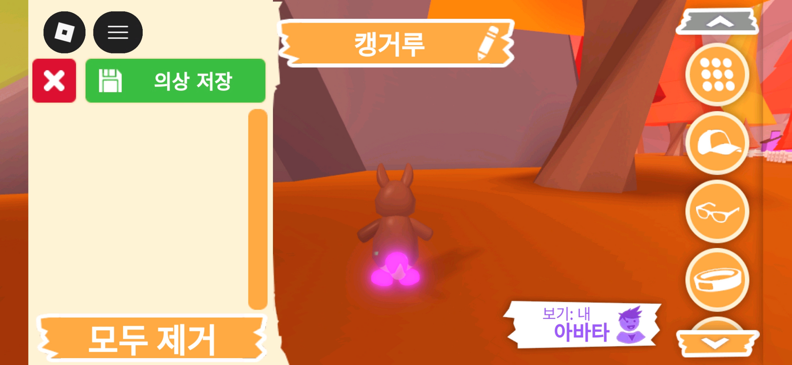 입양하세요 펫 메가네온 캥거루 (메캥) 판매합니다. 이미지