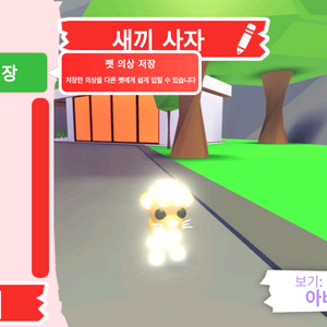 입양하세요 펫 네온 새끼 사자 판매합니다 이미지