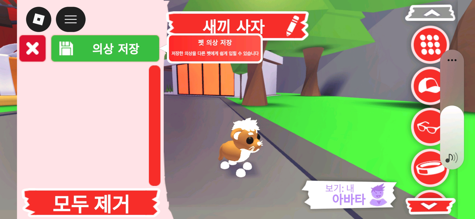 입양하세요 펫 네온 새끼 사자 판매합니다 이미지