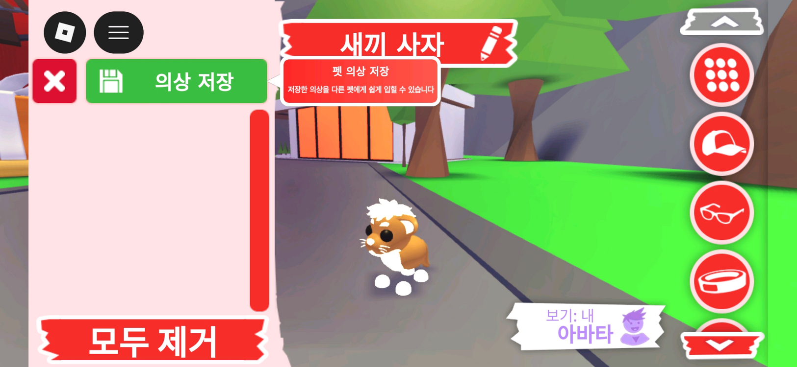 입양하세요 펫 네온 새끼 사자 판매합니다 이미지