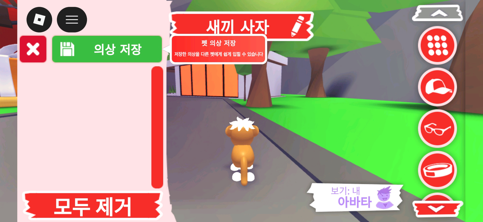 입양하세요 펫 네온 새끼 사자 판매합니다 이미지