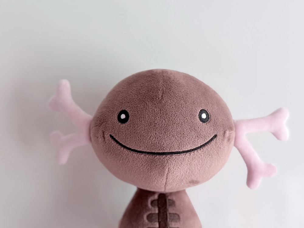 일본 포켓몬센터 오리지날 팔데아 우파 봉제인형 이미지