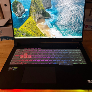 ASUS ROG STRIX G713QC-HX012(RAM 16gb, SSD 1TB) 17인치 게이밍노트북 이미지